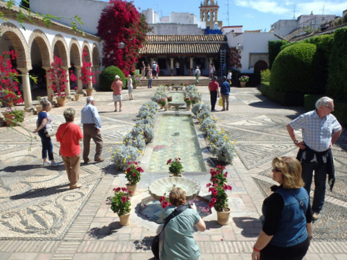 Palacio Viana.